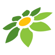 SPRING ANIME